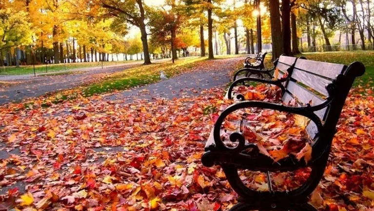 الأجواء الأبرد منذ أشهر تزور الأردن وفرص يومية لأمطار محلية